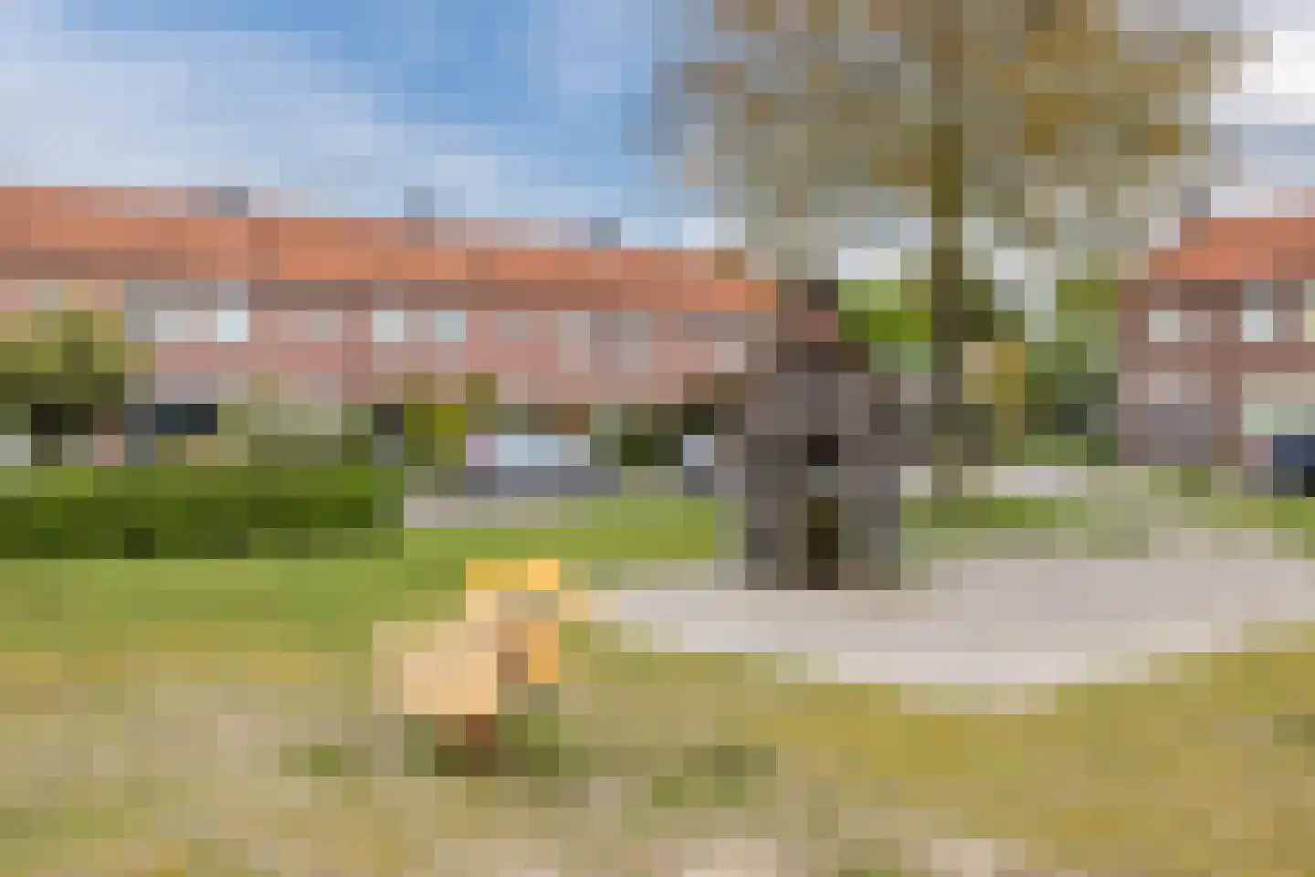 Smient 16 Geldrop thumbnail 44