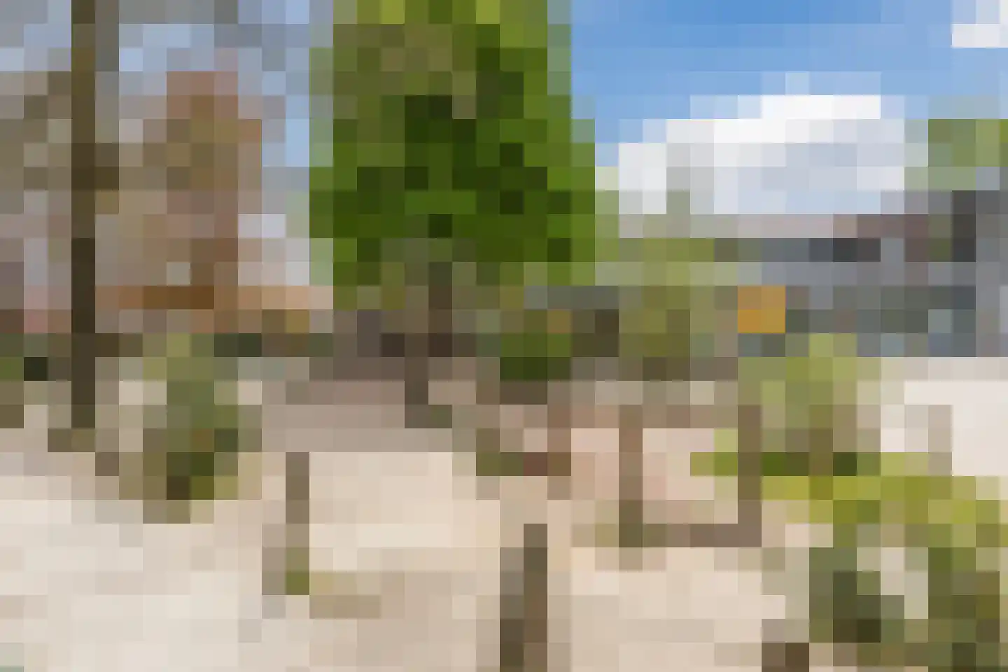 Smient 16 Geldrop thumbnail 45