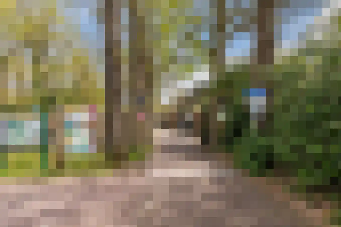 Smient 16 Geldrop thumbnail 46