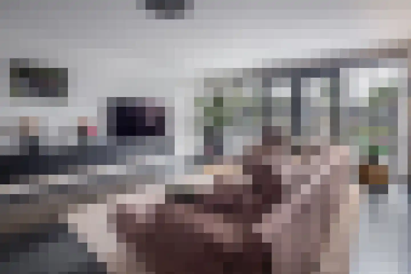 Smient 3 Hoogkarspel thumbnail 10