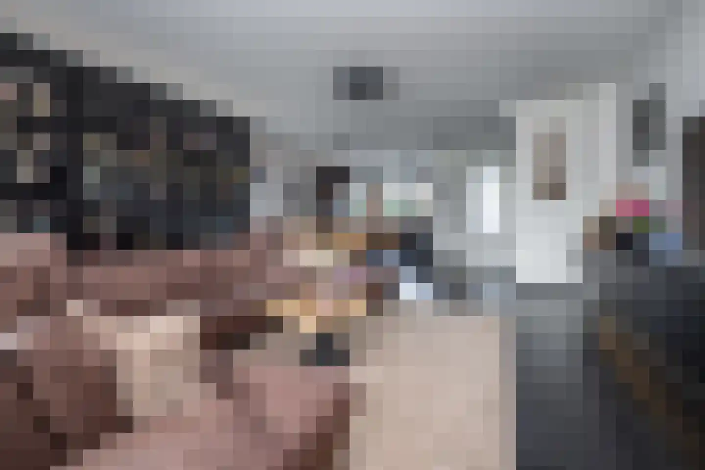 Smient 3 Hoogkarspel thumbnail 11