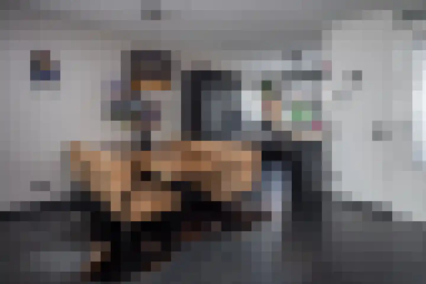 Smient 3 Hoogkarspel thumbnail 12