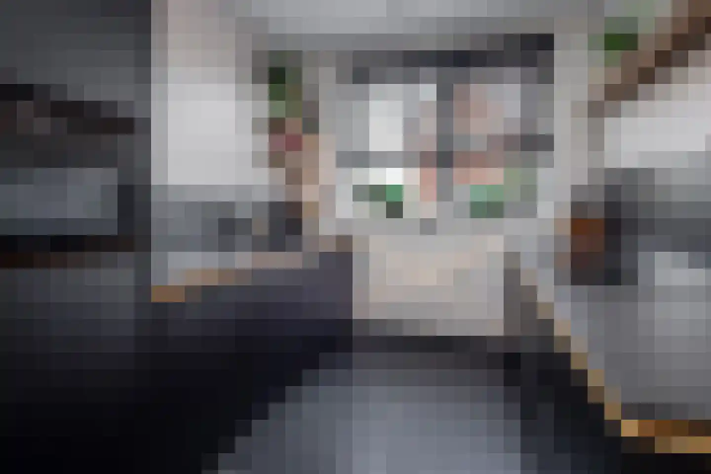 Smient 3 Hoogkarspel thumbnail 13