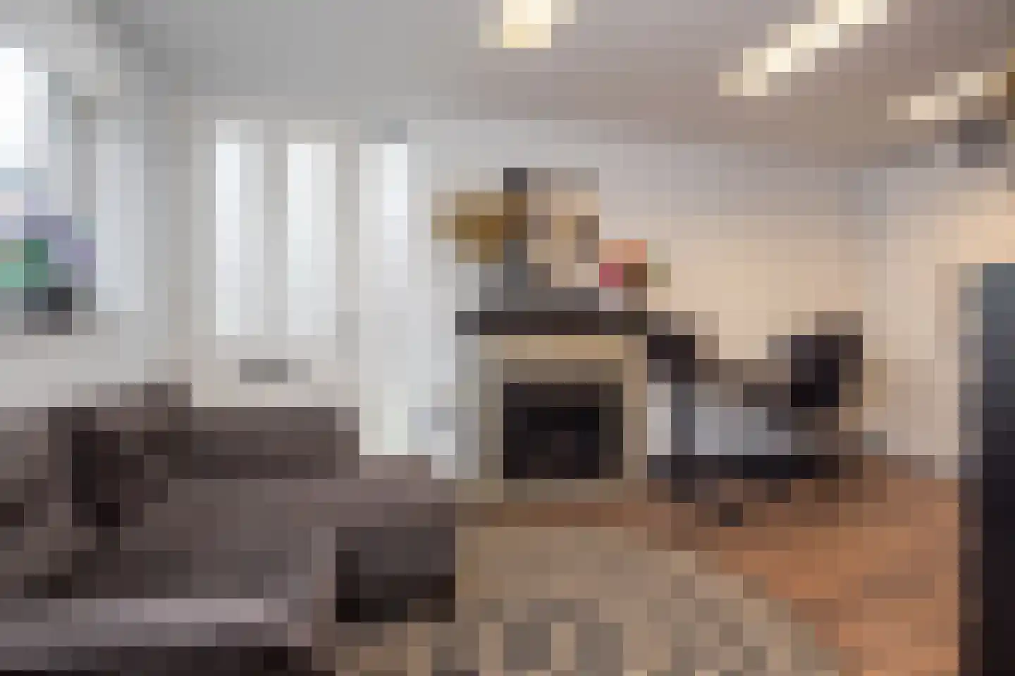 Smient 3 Hoogkarspel thumbnail 15