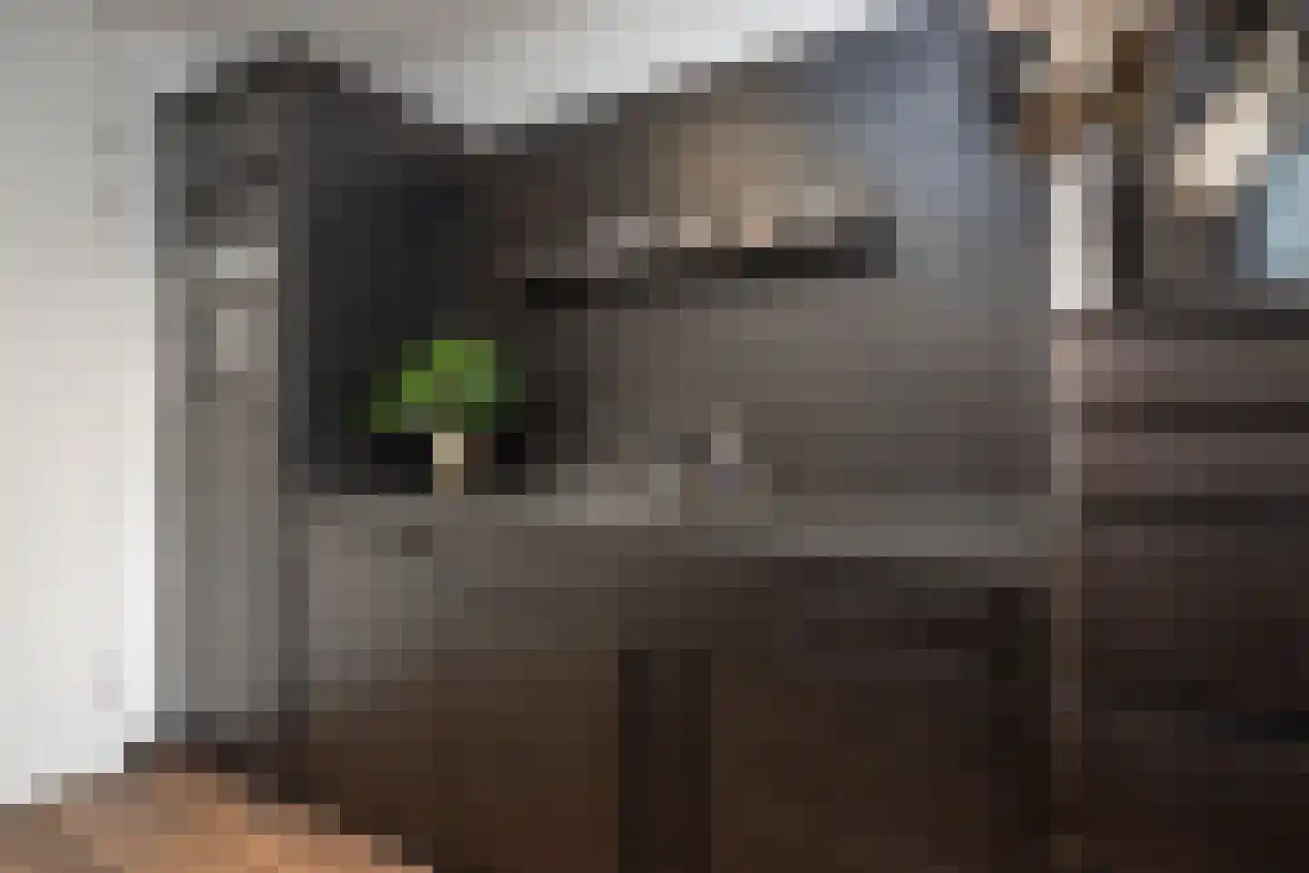 Smient 3 Hoogkarspel thumbnail 17