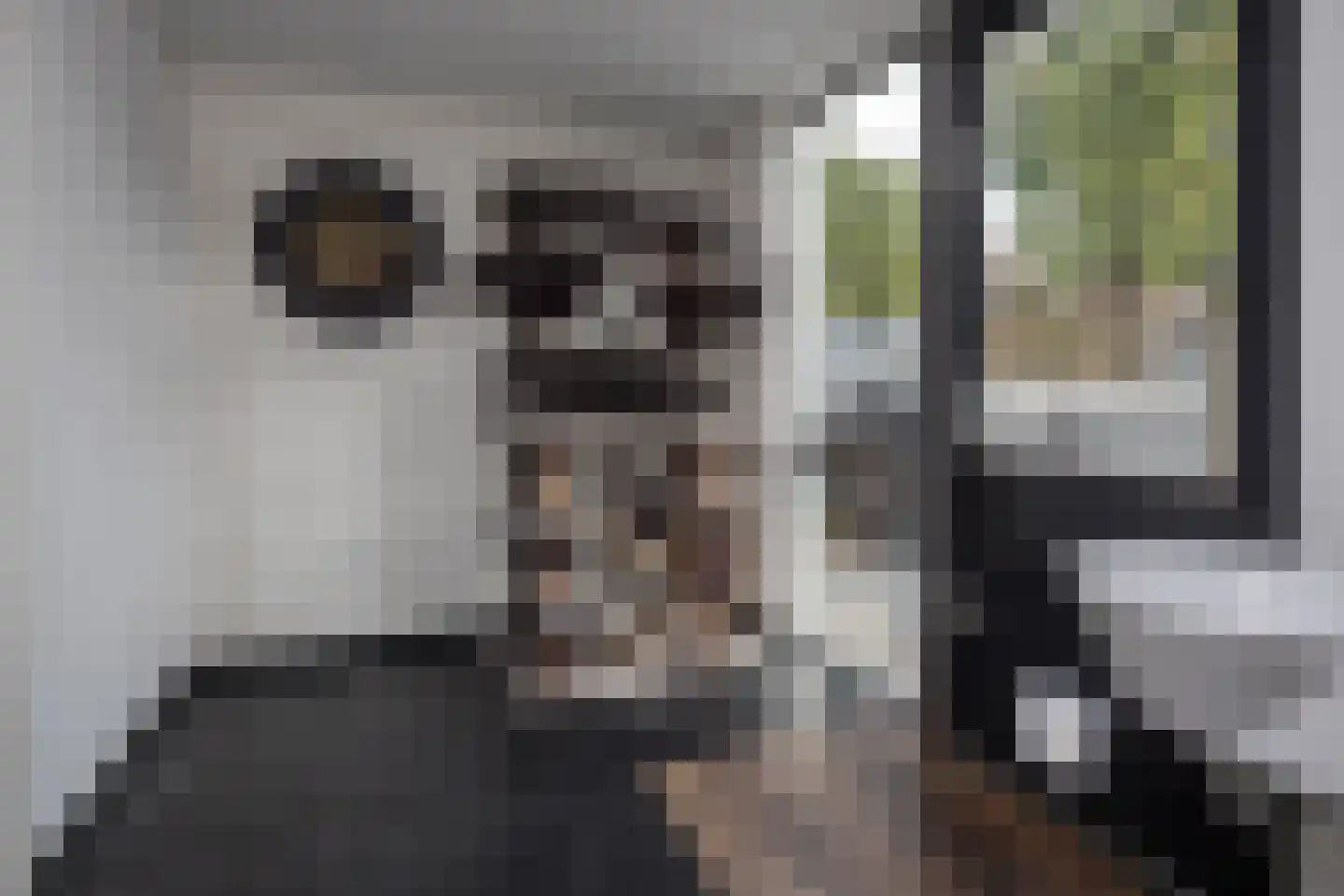 Smient 3 Hoogkarspel thumbnail 18