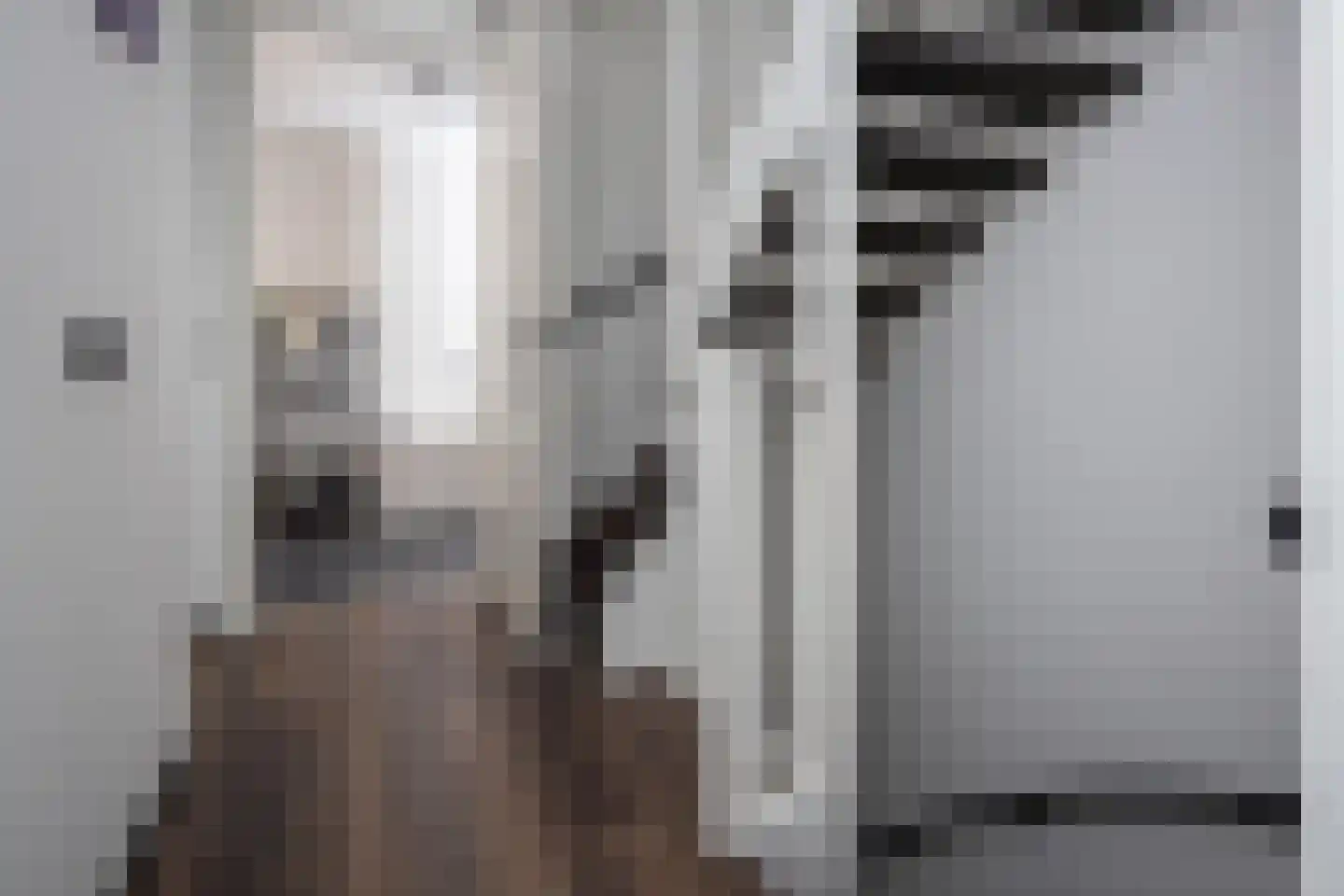 Smient 3 Hoogkarspel thumbnail 19