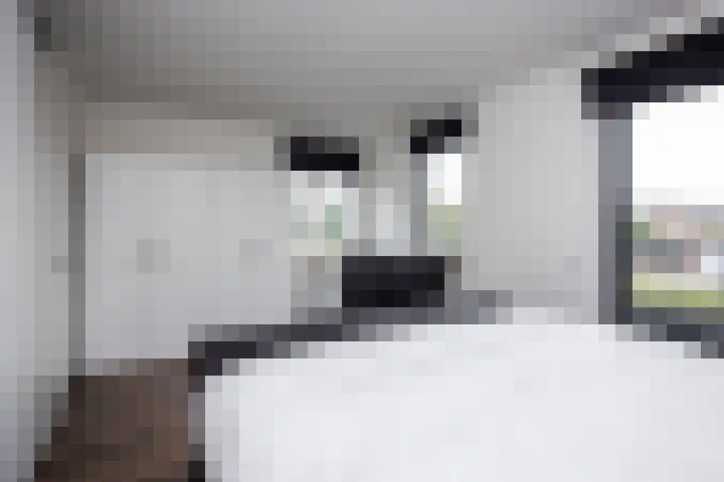 Smient 3 Hoogkarspel thumbnail 22