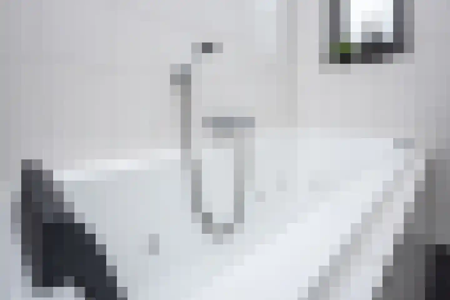Smient 3 Hoogkarspel thumbnail 29