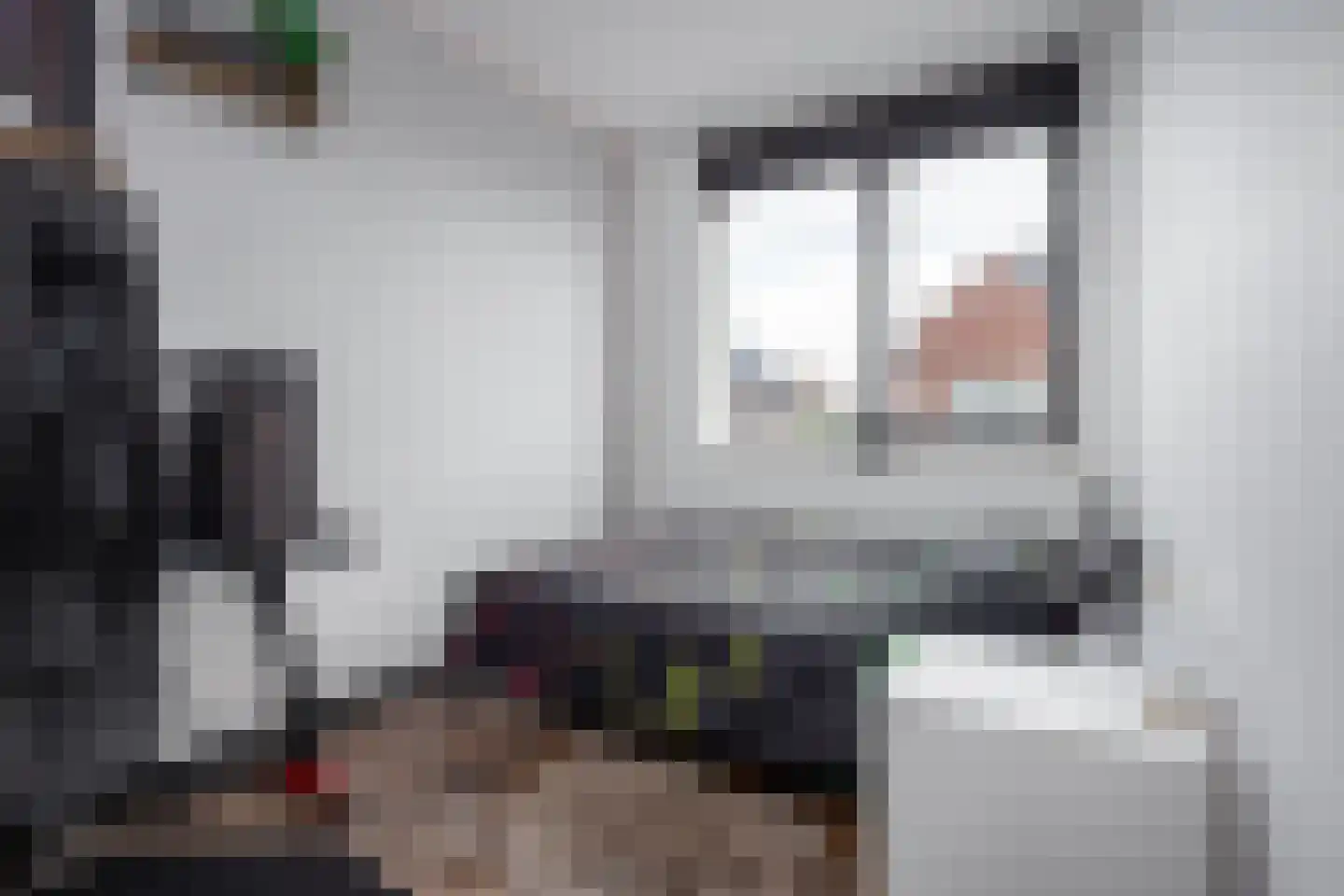 Smient 3 Hoogkarspel thumbnail 30