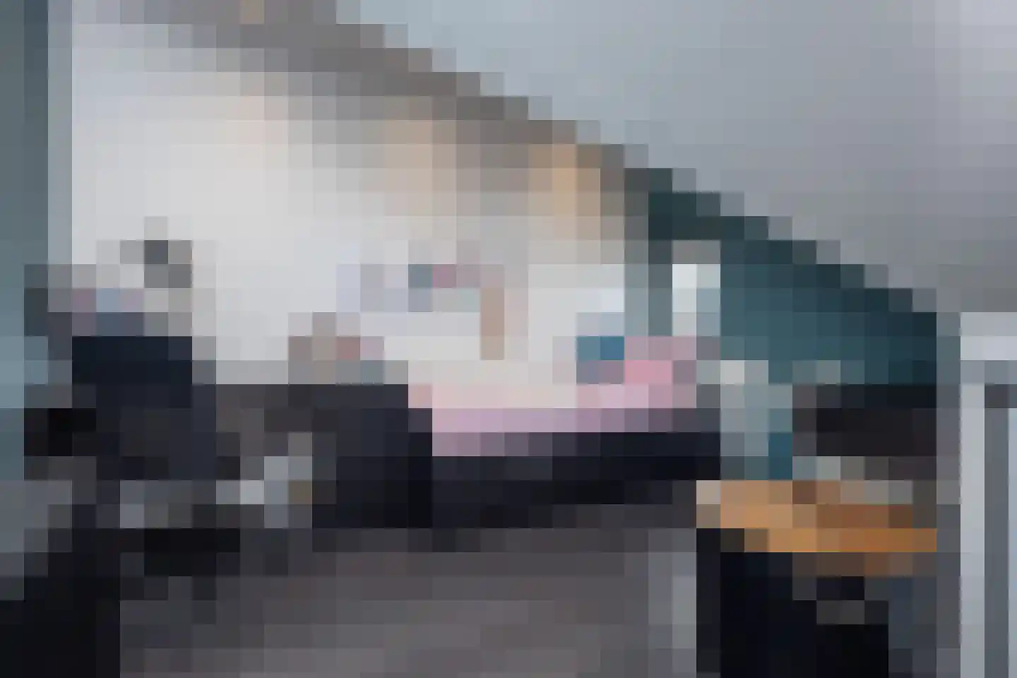 Smient 3 Hoogkarspel thumbnail 31