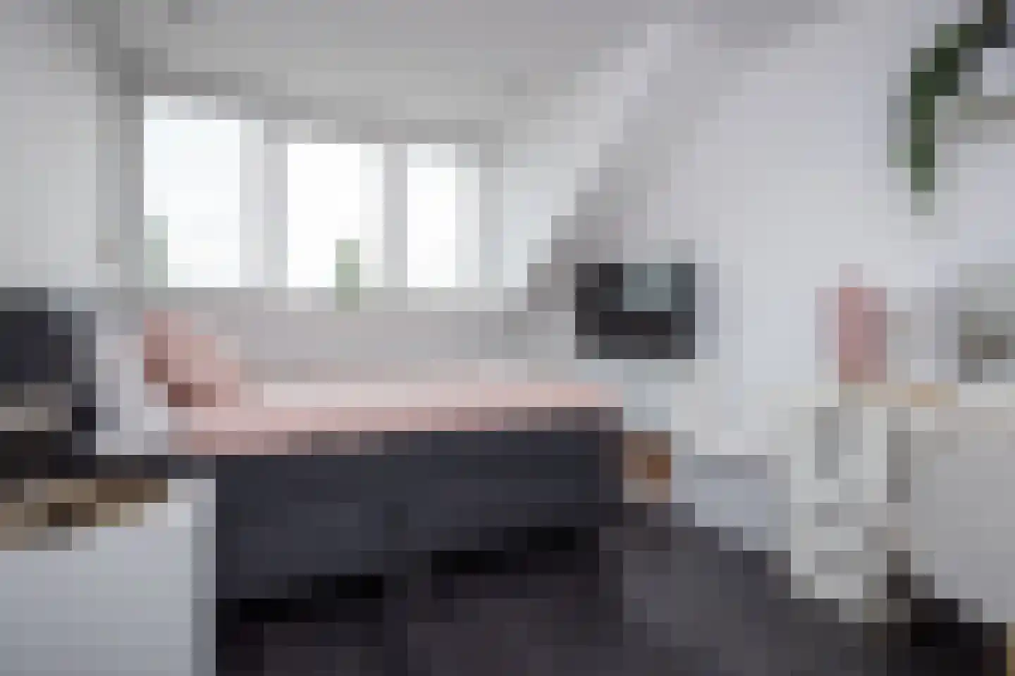 Smient 3 Hoogkarspel thumbnail 34