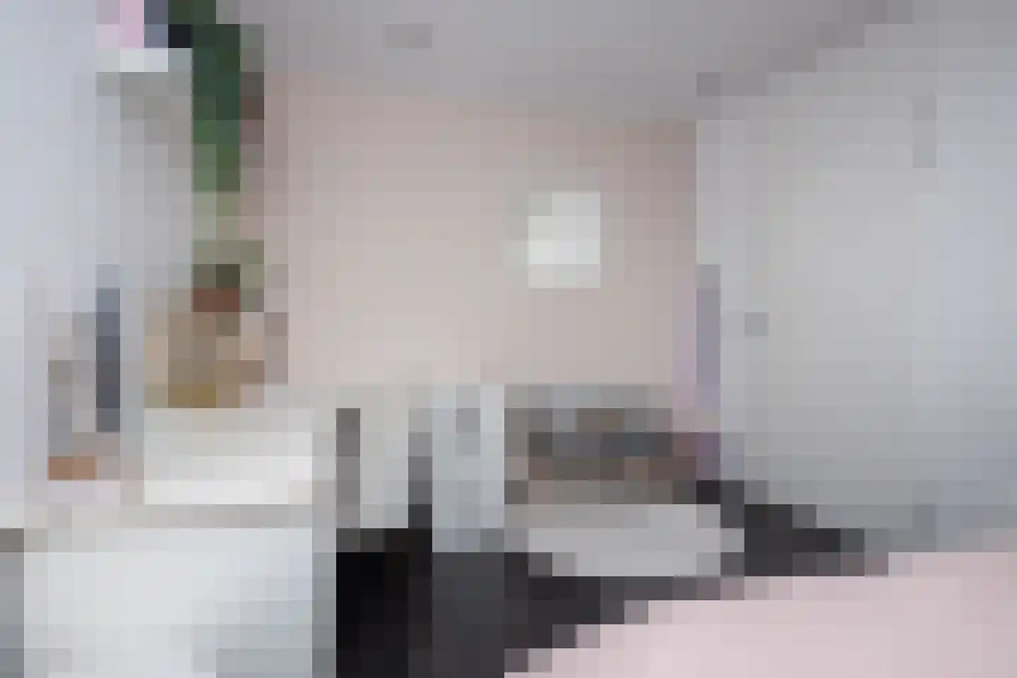 Smient 3 Hoogkarspel thumbnail 35