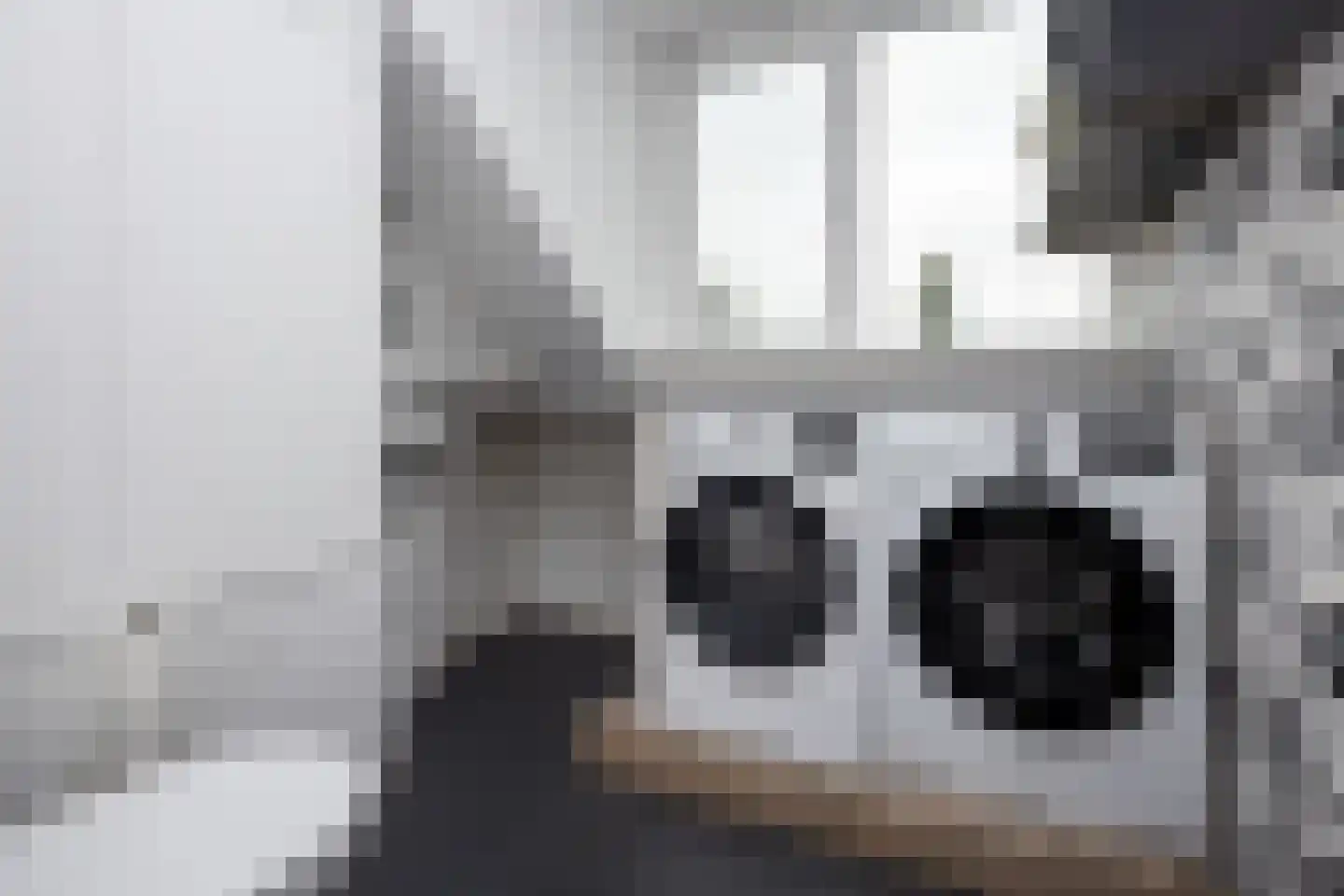 Smient 3 Hoogkarspel thumbnail 36