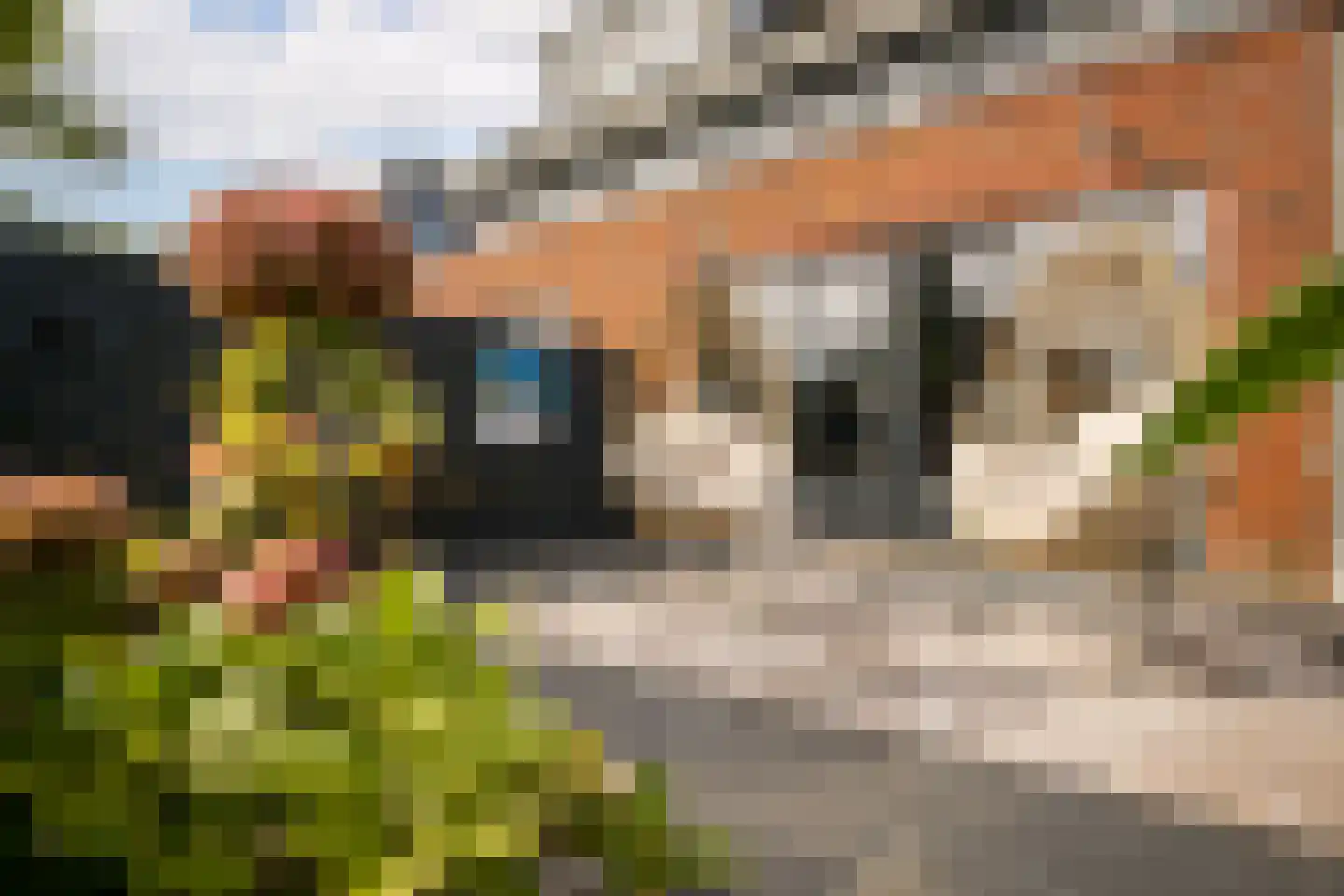 Smient 3 Hoogkarspel thumbnail 41