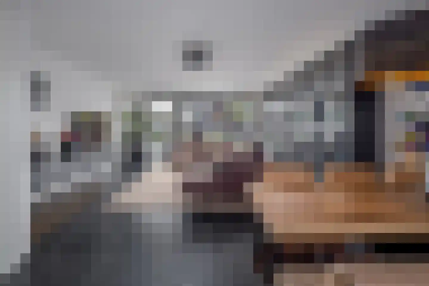 Smient 3 Hoogkarspel thumbnail 5