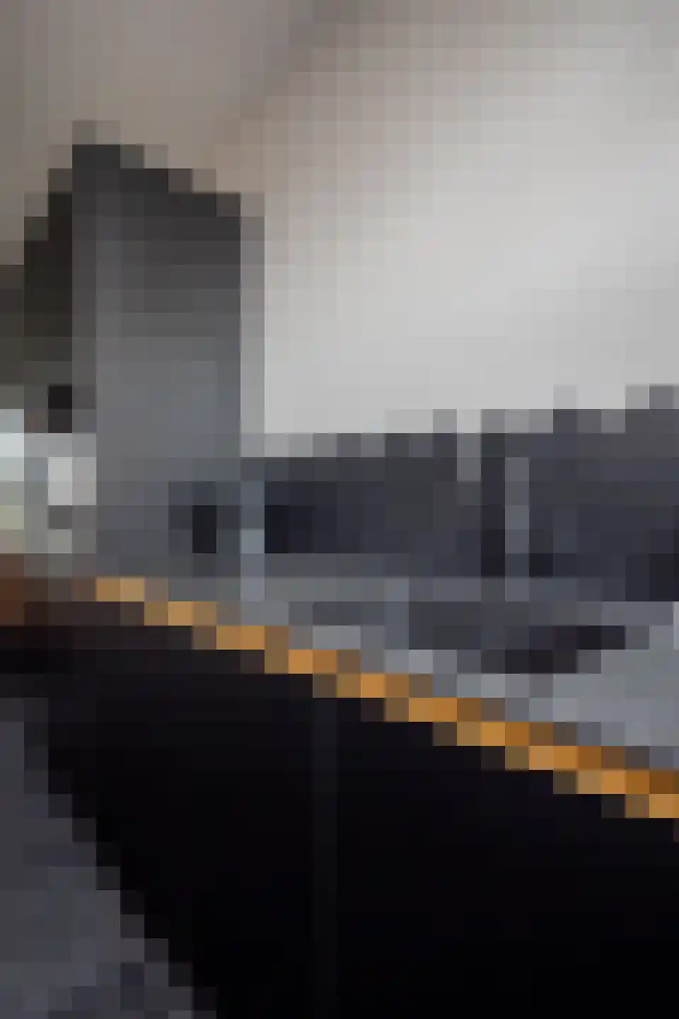 Smient 3 Hoogkarspel thumbnail 55
