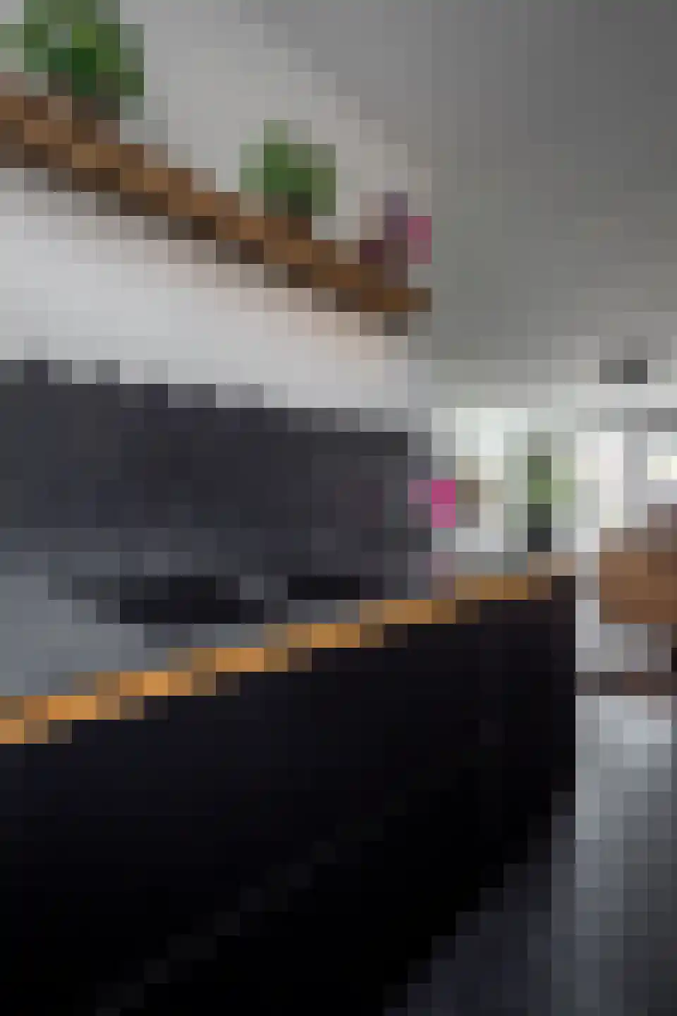 Smient 3 Hoogkarspel thumbnail 56