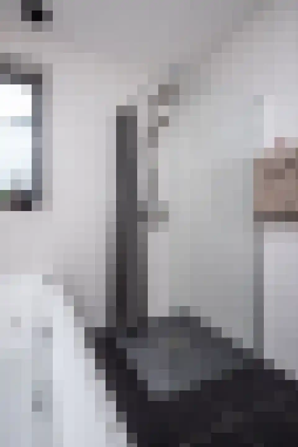 Smient 3 Hoogkarspel thumbnail 57