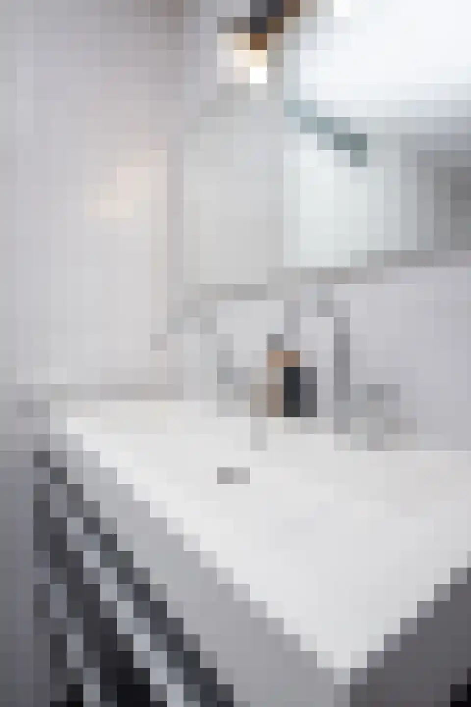 Smient 3 Hoogkarspel thumbnail 58