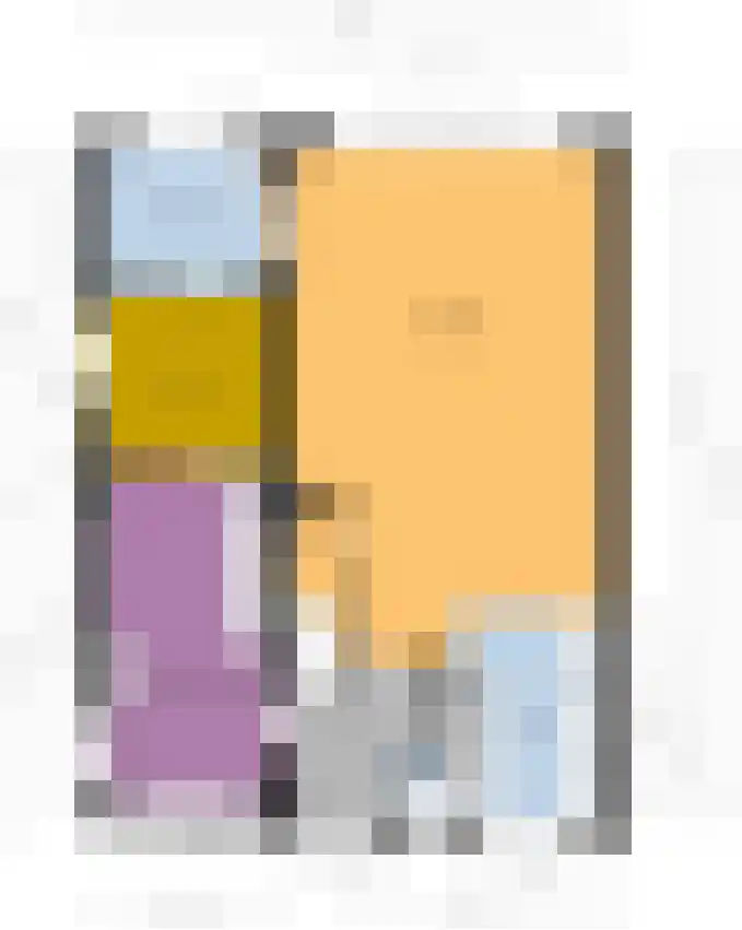 Smient 3 Hoogkarspel thumbnail 60