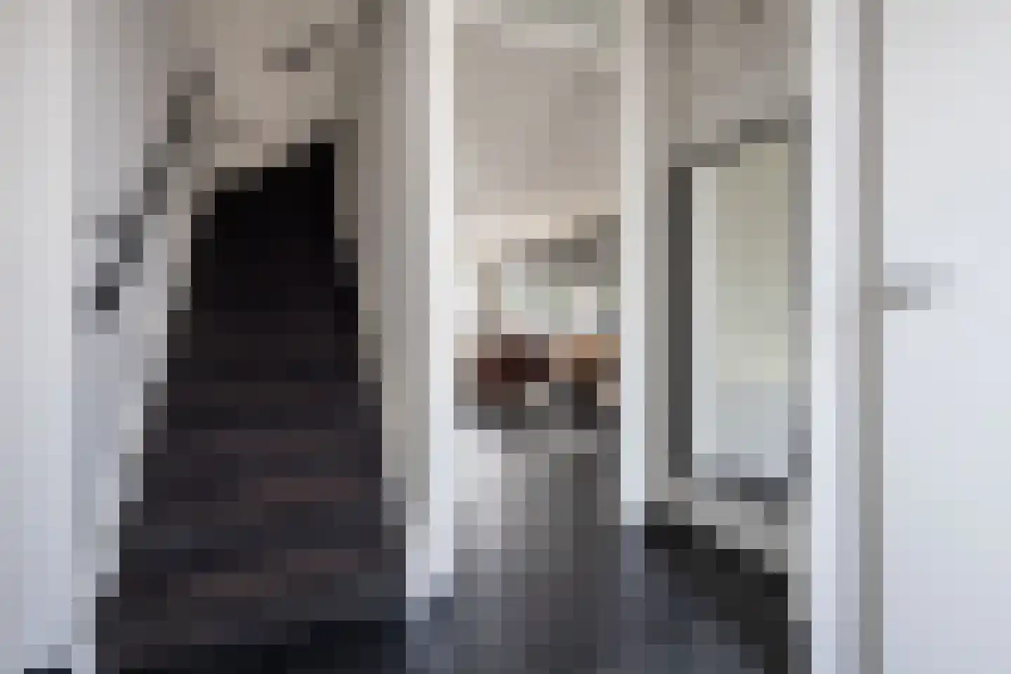 Smient 3 Hoogkarspel thumbnail 7