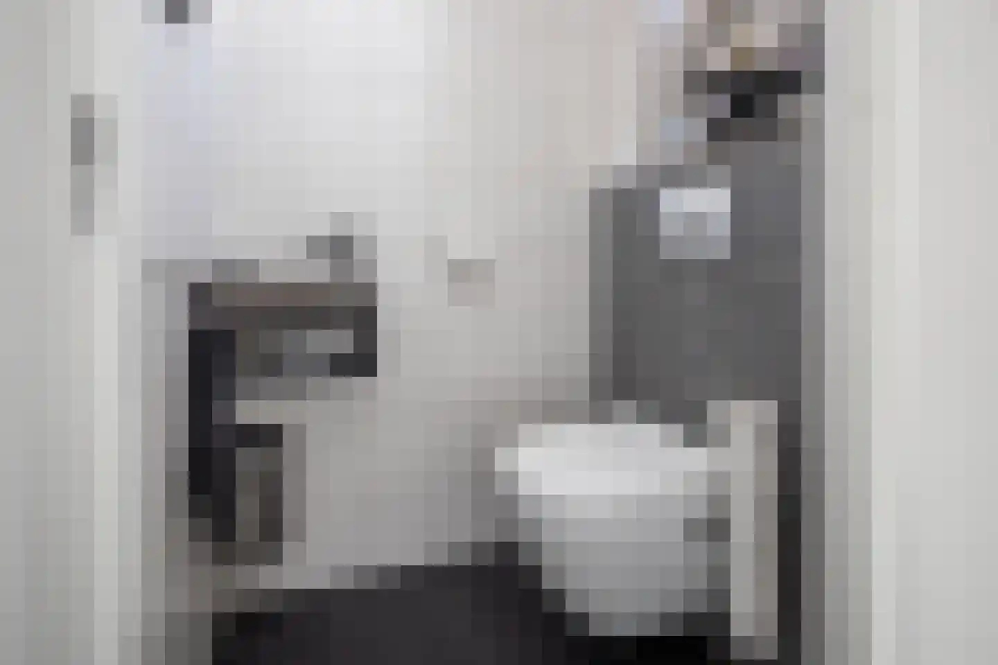 Smient 3 Hoogkarspel thumbnail 8