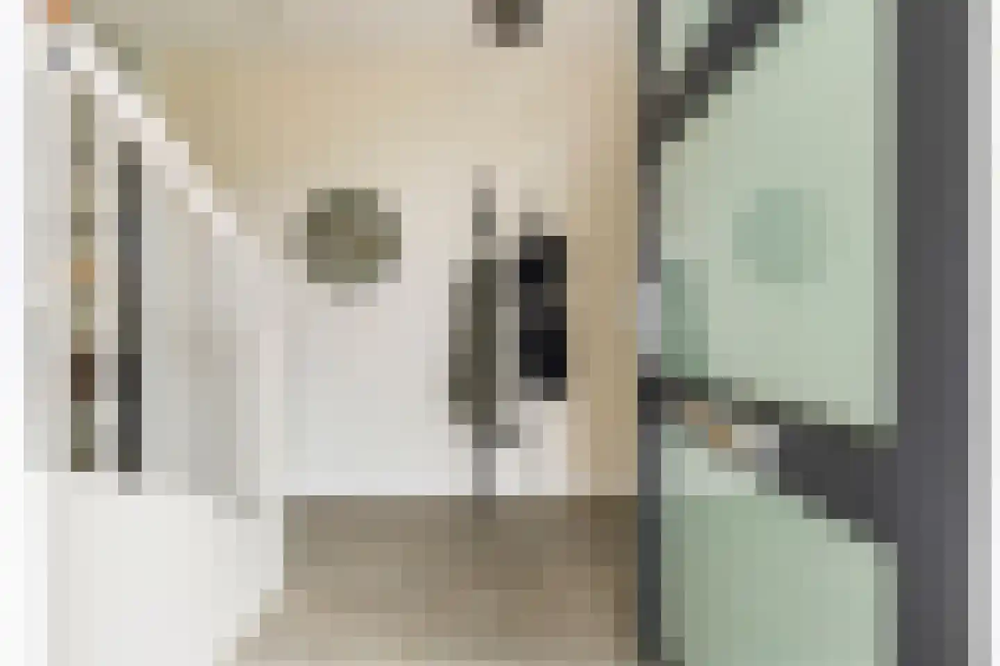 Smient 45 Bedum thumbnail 12