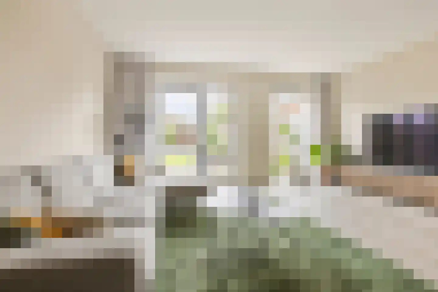Smient 45 Bedum thumbnail 15