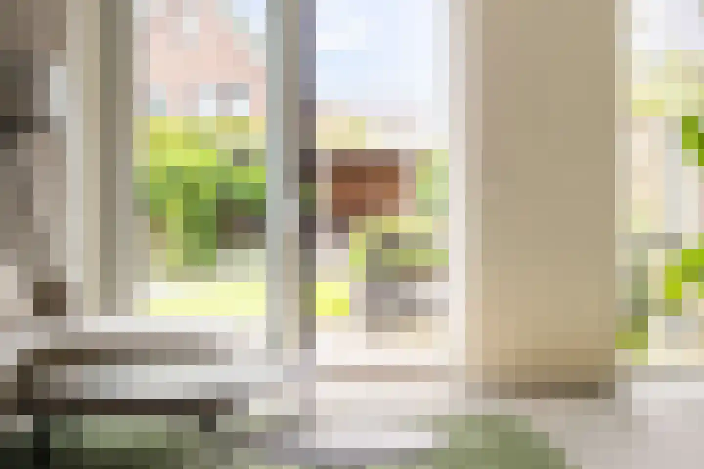 Smient 45 Bedum thumbnail 16