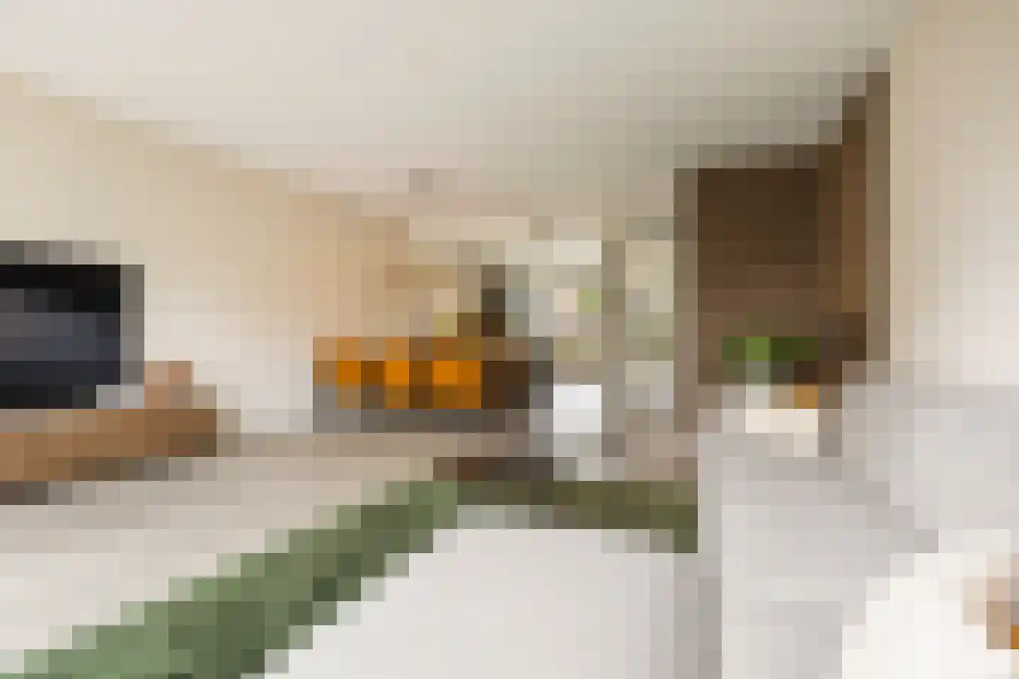 Smient 45 Bedum thumbnail 17