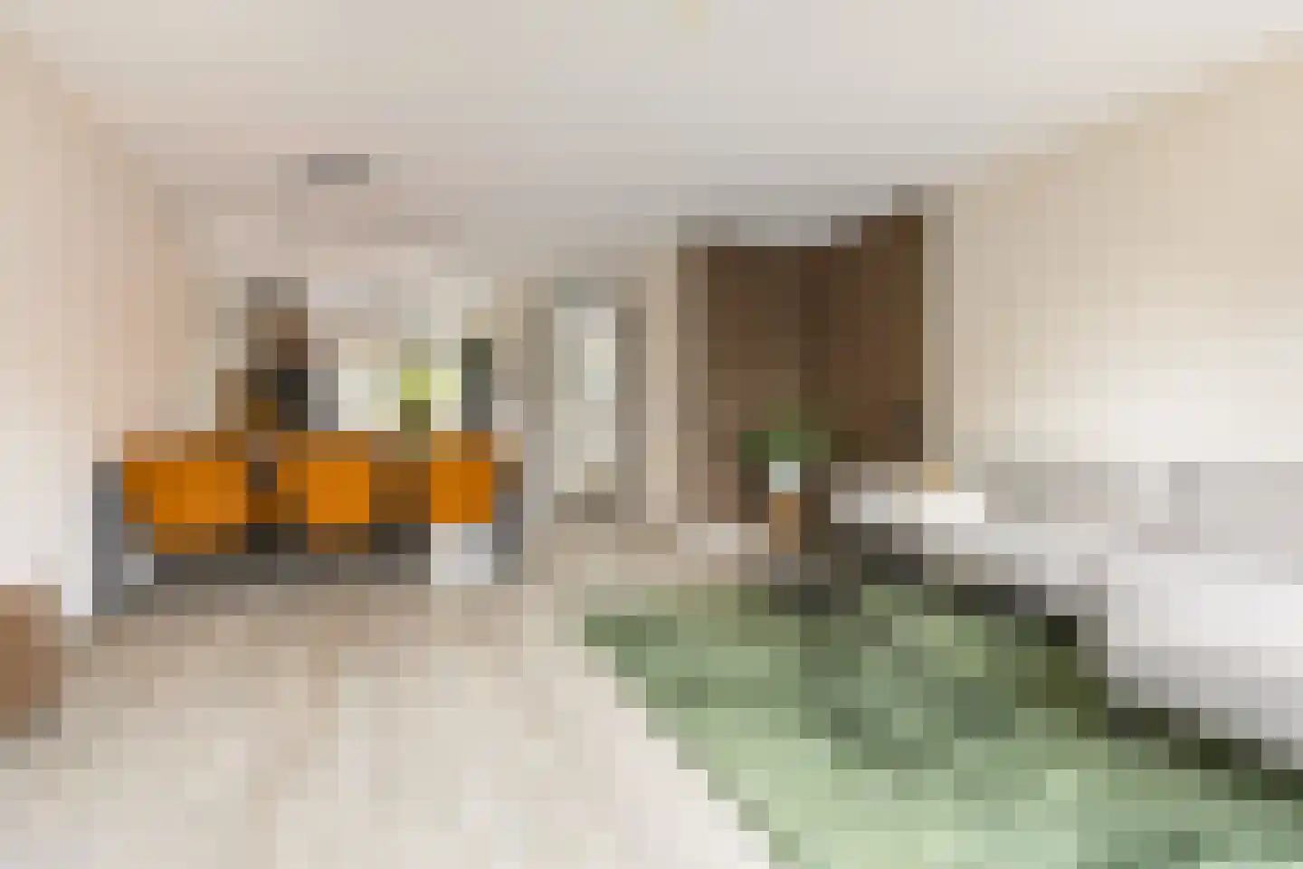 Smient 45 Bedum thumbnail 18