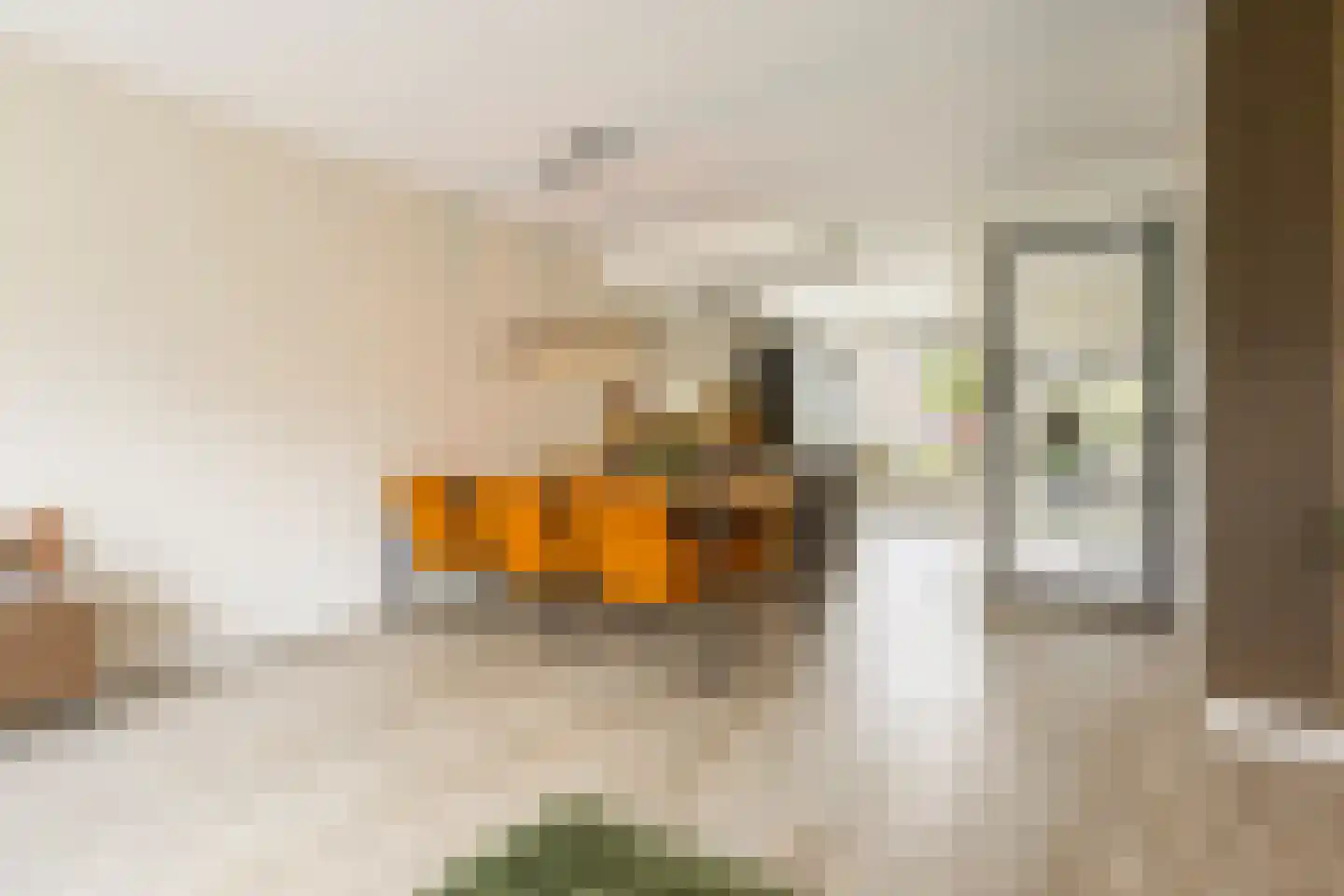 Smient 45 Bedum thumbnail 20