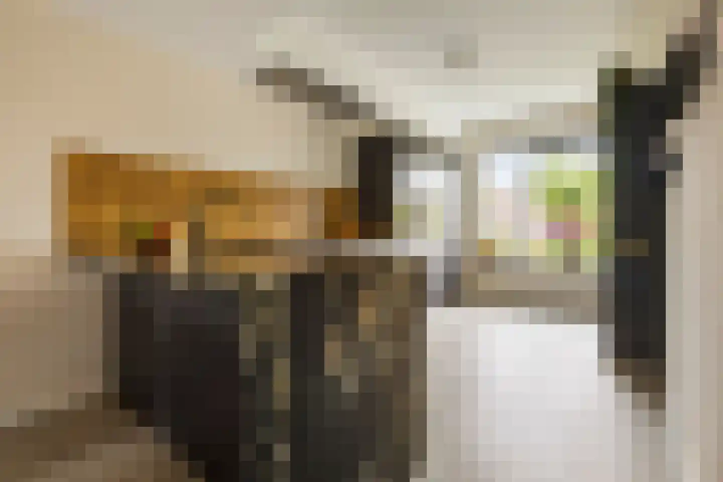 Smient 45 Bedum thumbnail 22