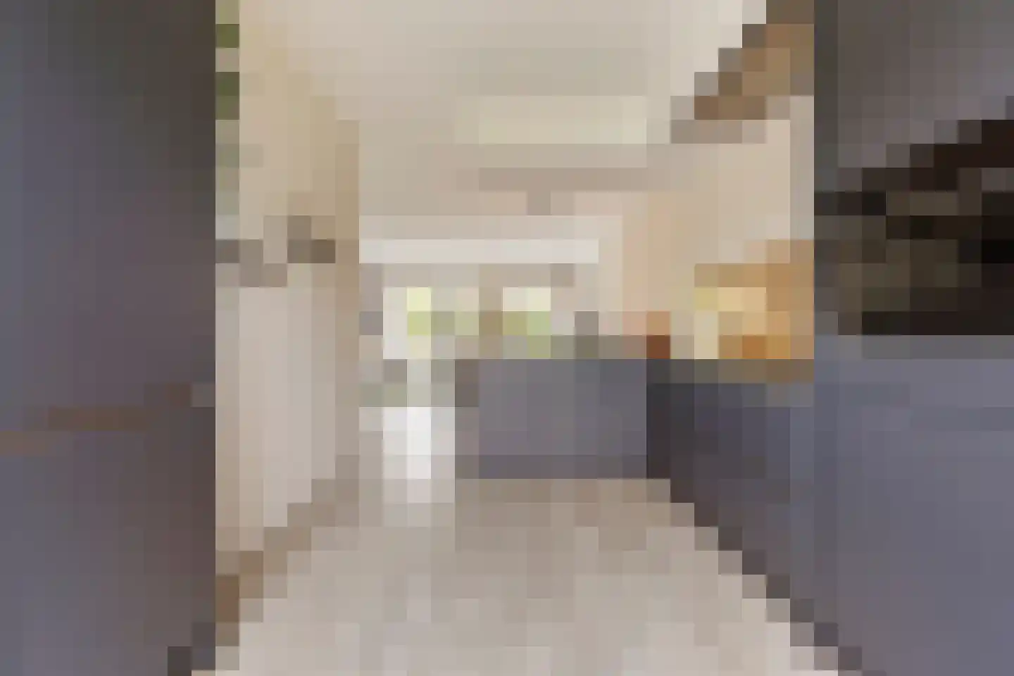 Smient 45 Bedum thumbnail 25