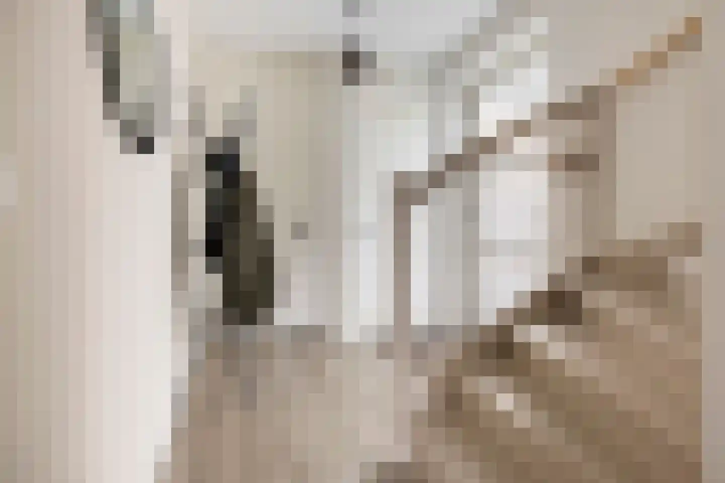Smient 45 Bedum thumbnail 26