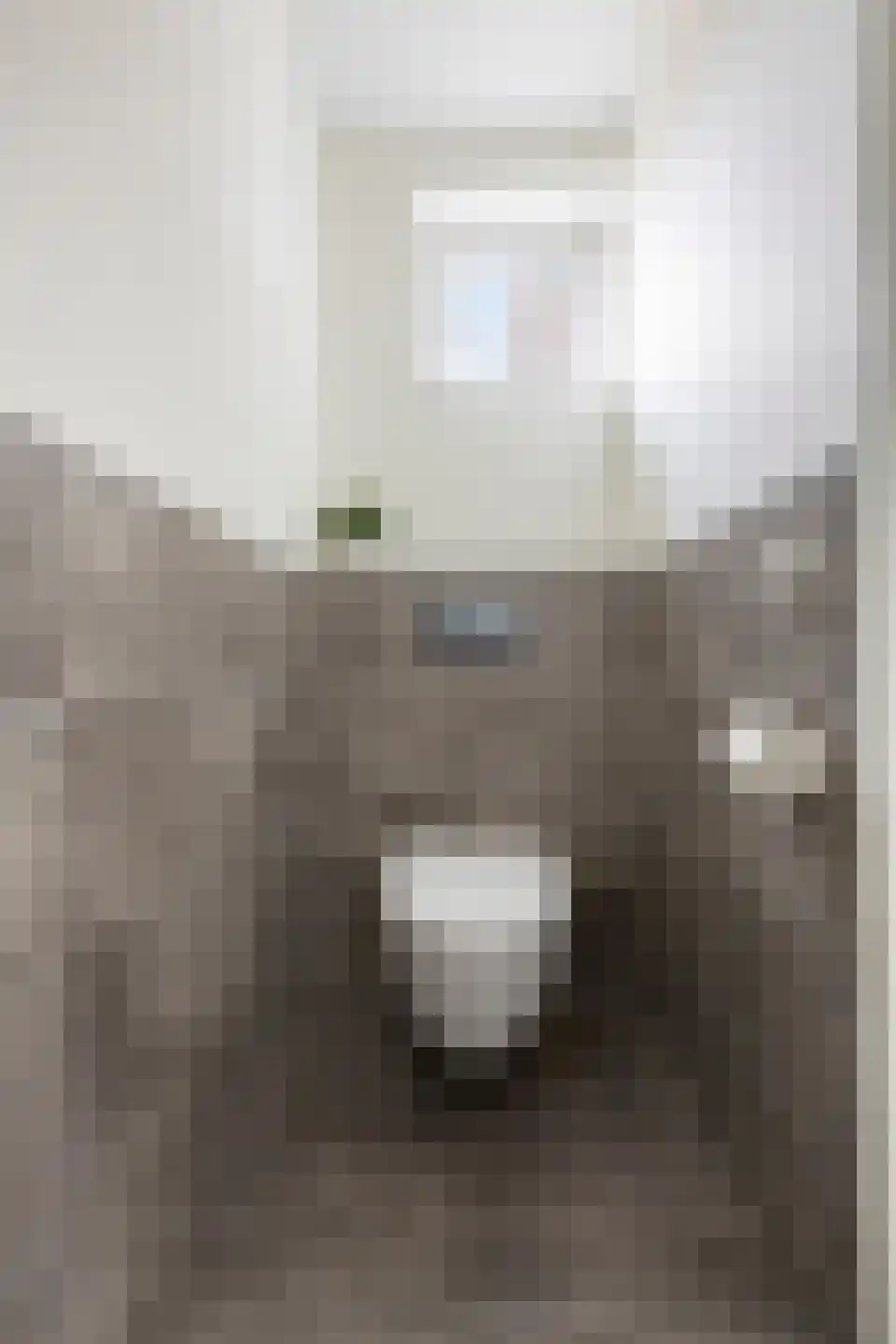 Smient 45 Bedum thumbnail 27