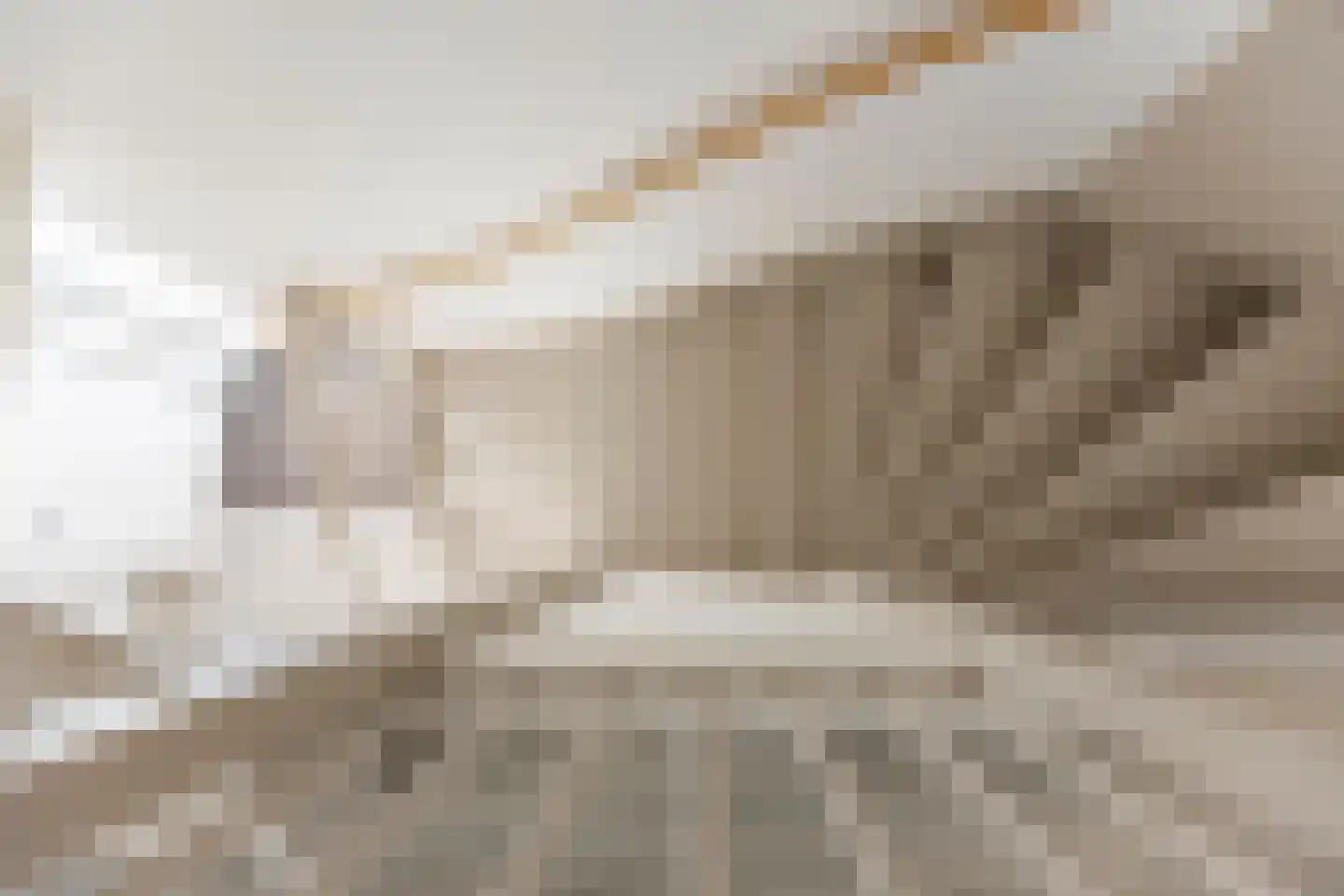 Smient 45 Bedum thumbnail 28