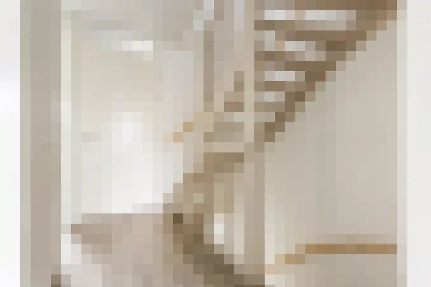 Smient 45 Bedum thumbnail 29