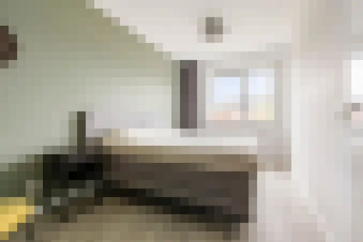 Smient 45 Bedum thumbnail 31