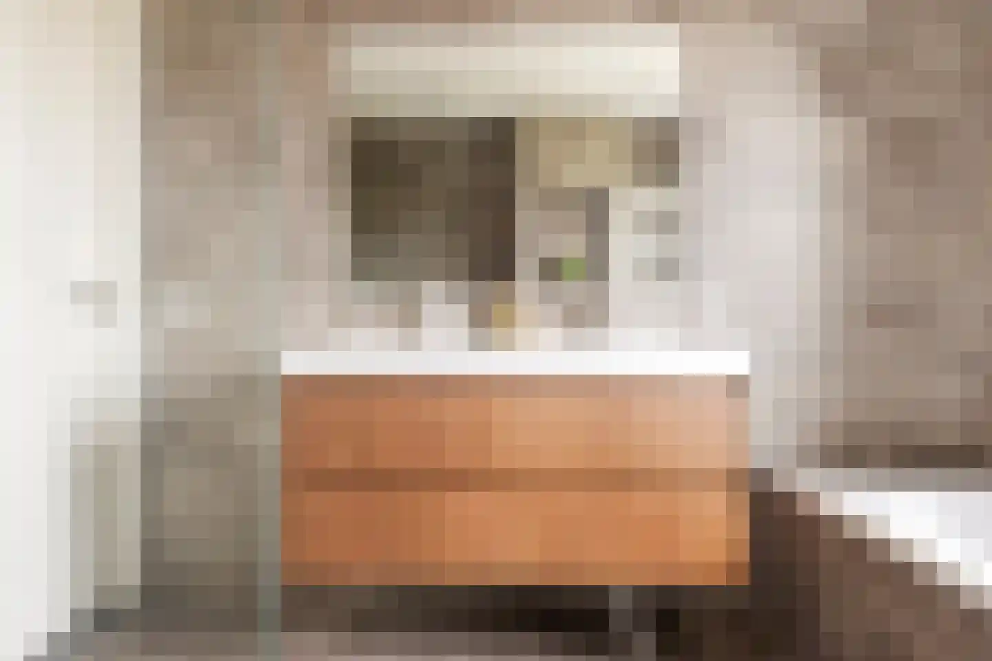 Smient 45 Bedum thumbnail 35