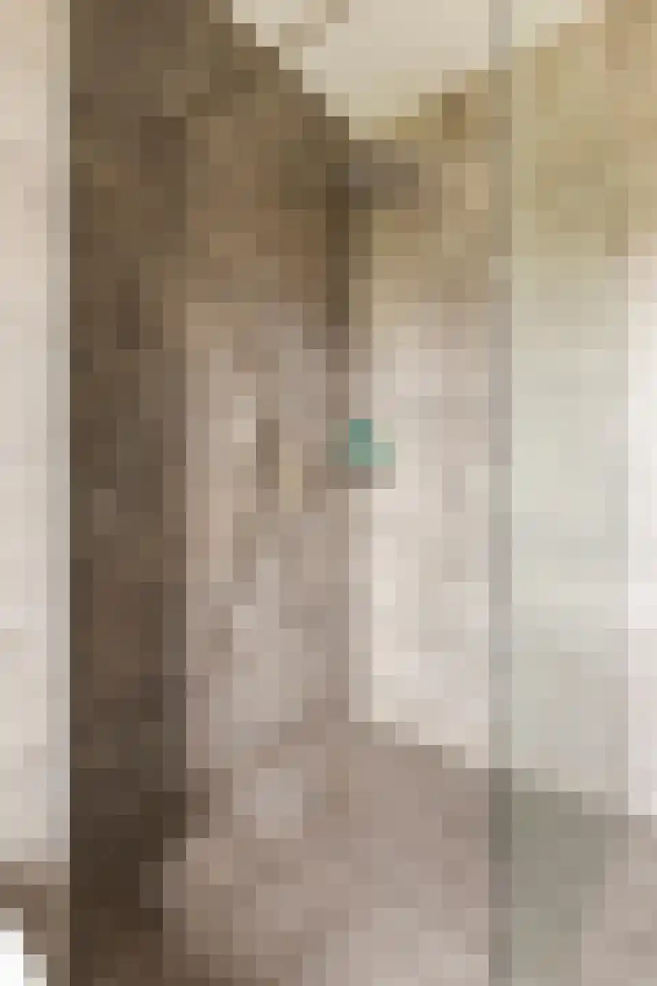 Smient 45 Bedum thumbnail 36