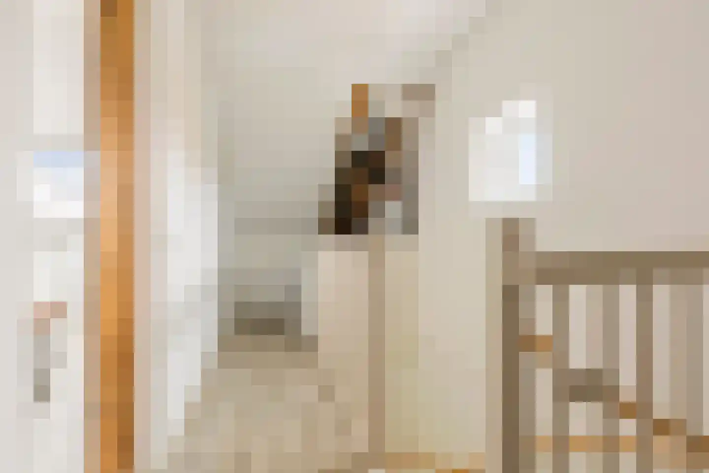 Smient 45 Bedum thumbnail 37