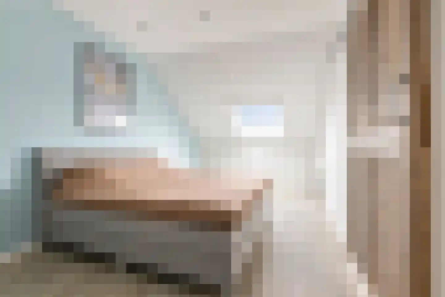 Smient 45 Bedum thumbnail 38