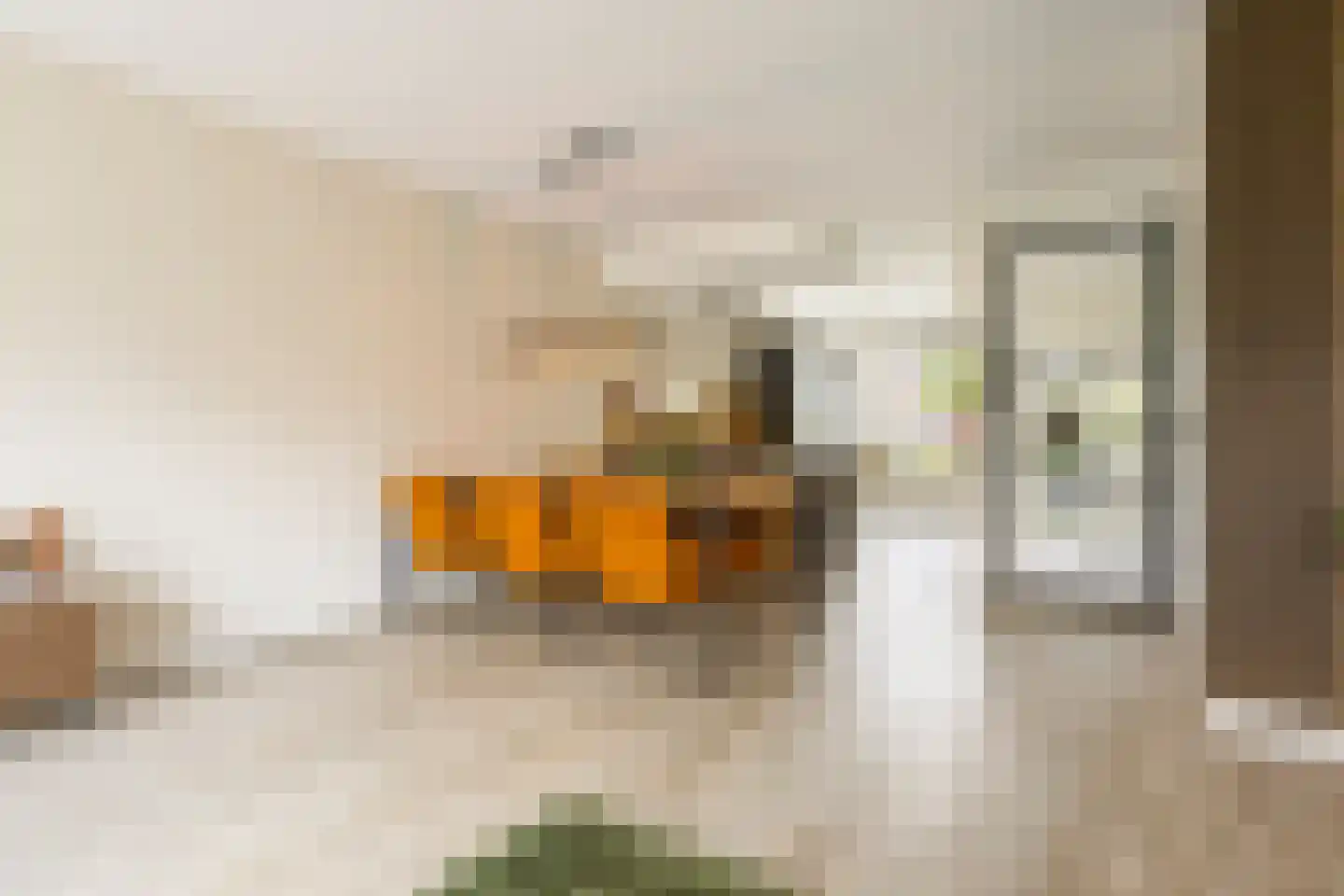 Smient 45 Bedum thumbnail 4