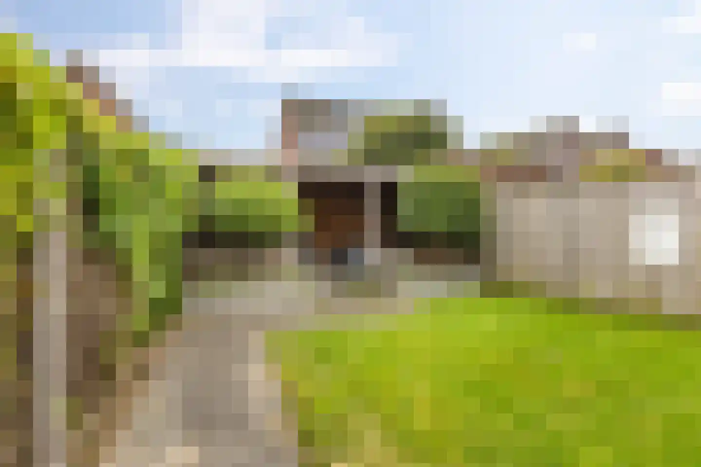 Smient 45 Bedum thumbnail 40