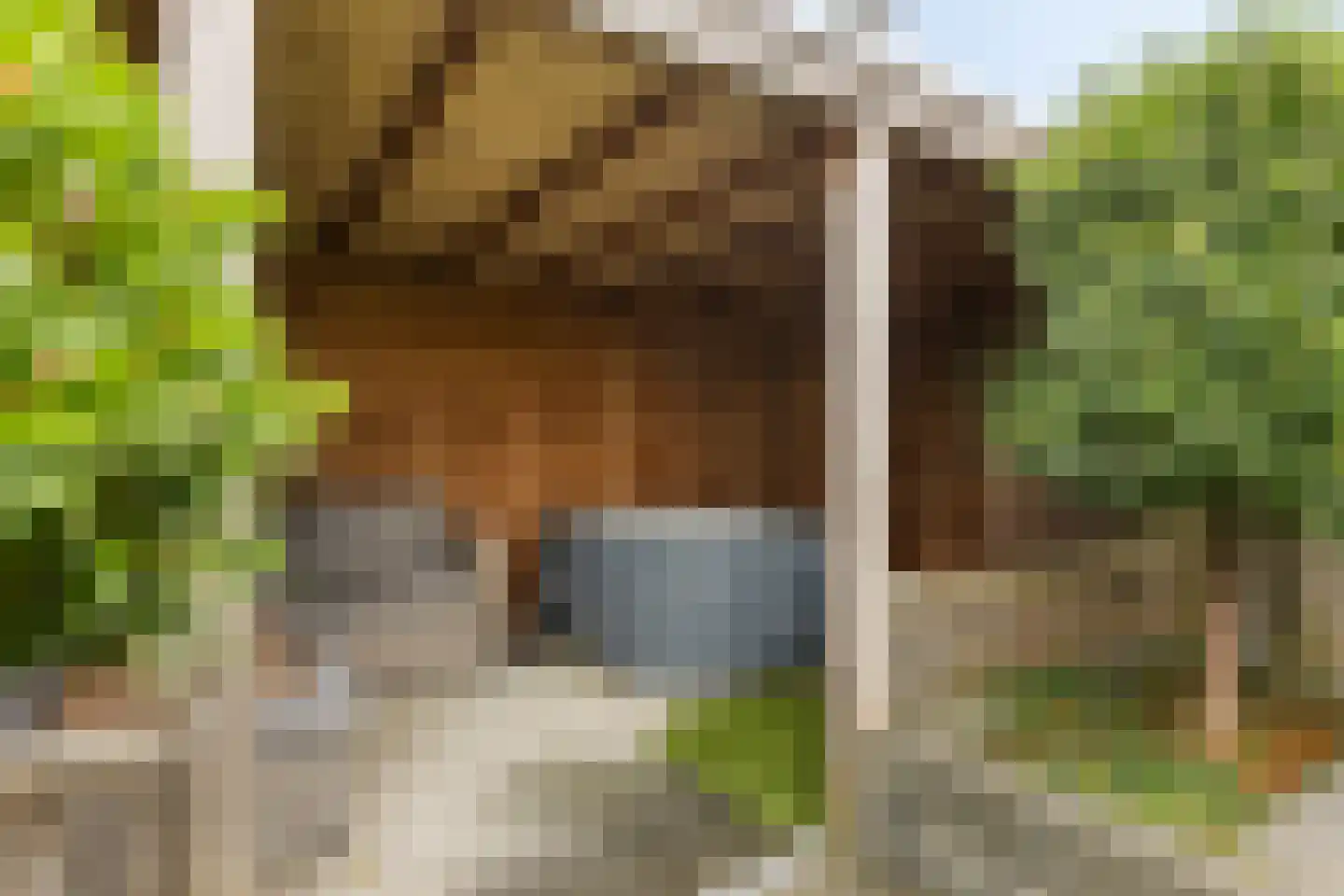 Smient 45 Bedum thumbnail 41