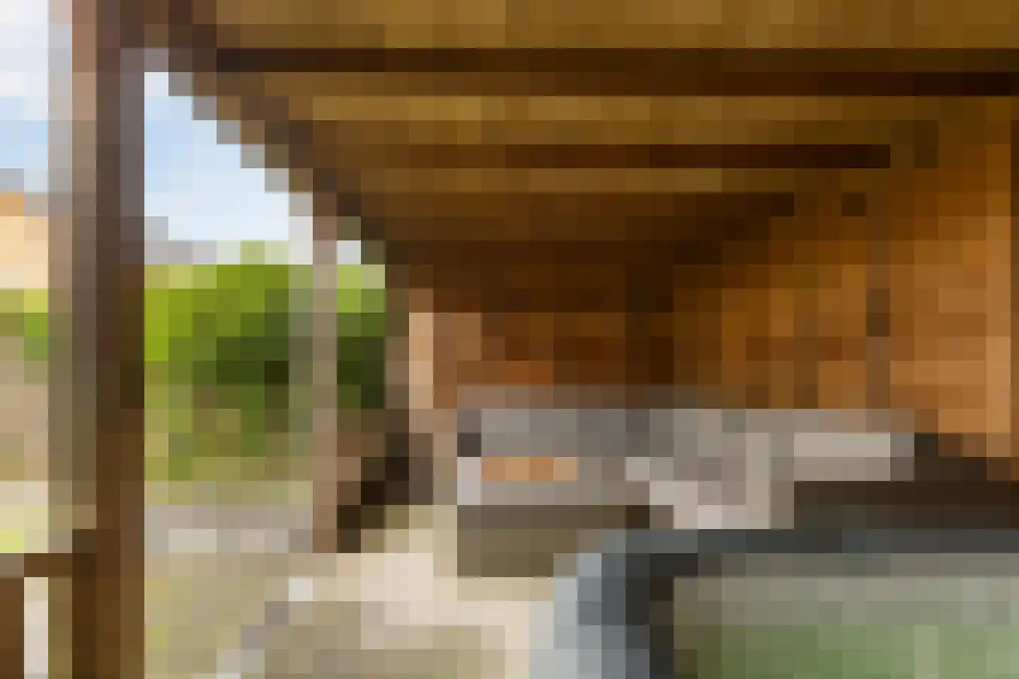 Smient 45 Bedum thumbnail 43