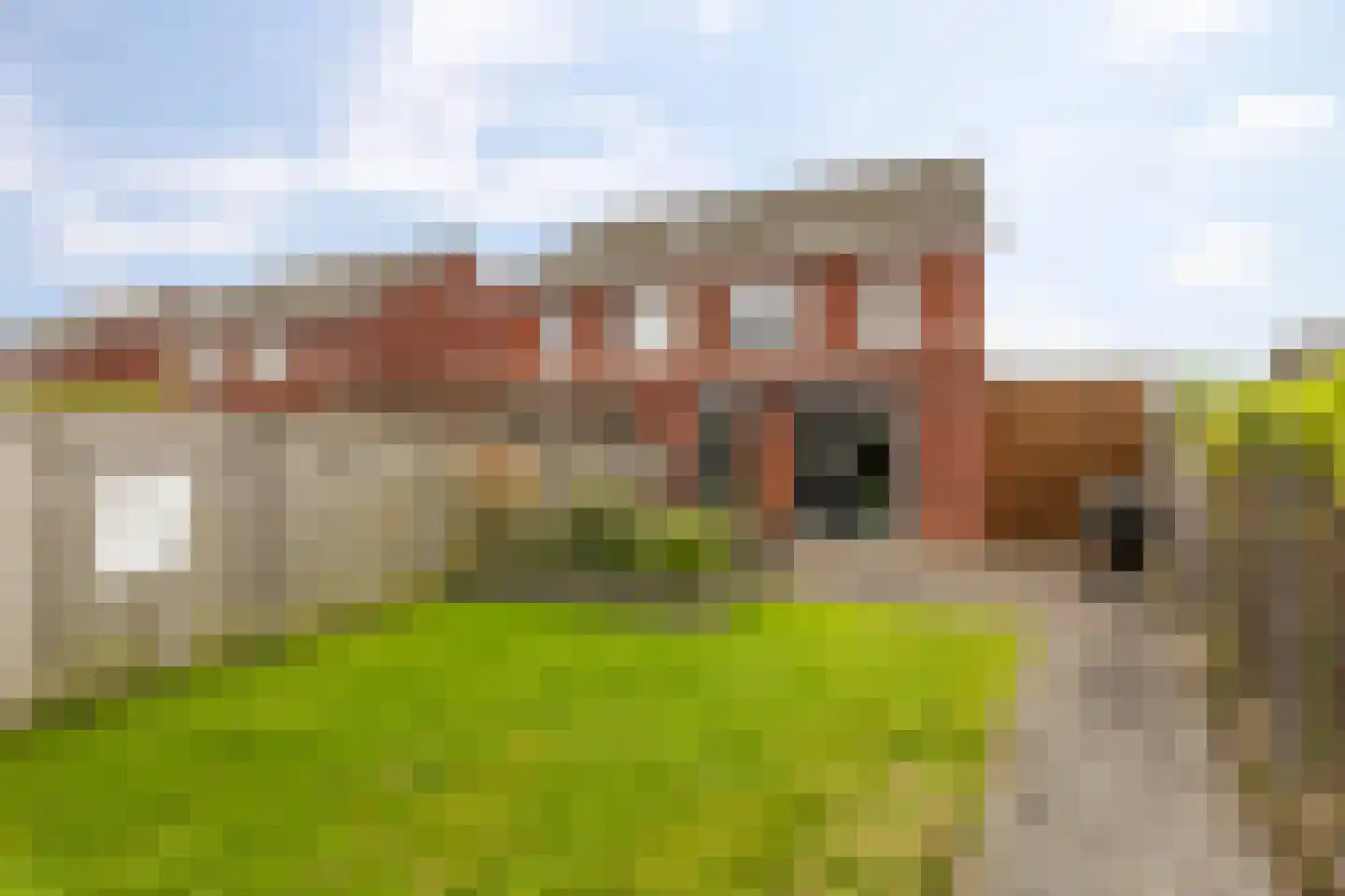 Smient 45 Bedum thumbnail 44
