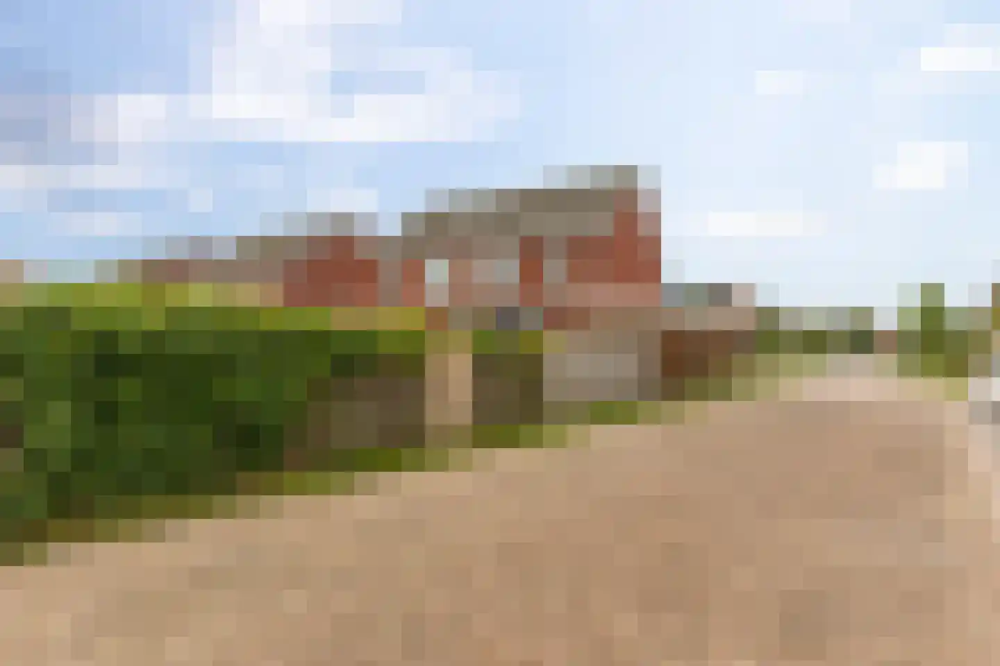 Smient 45 Bedum thumbnail 46